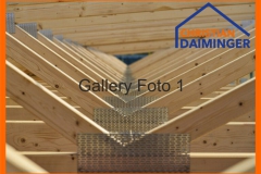 Gallery1